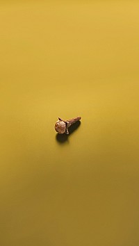 Cloves